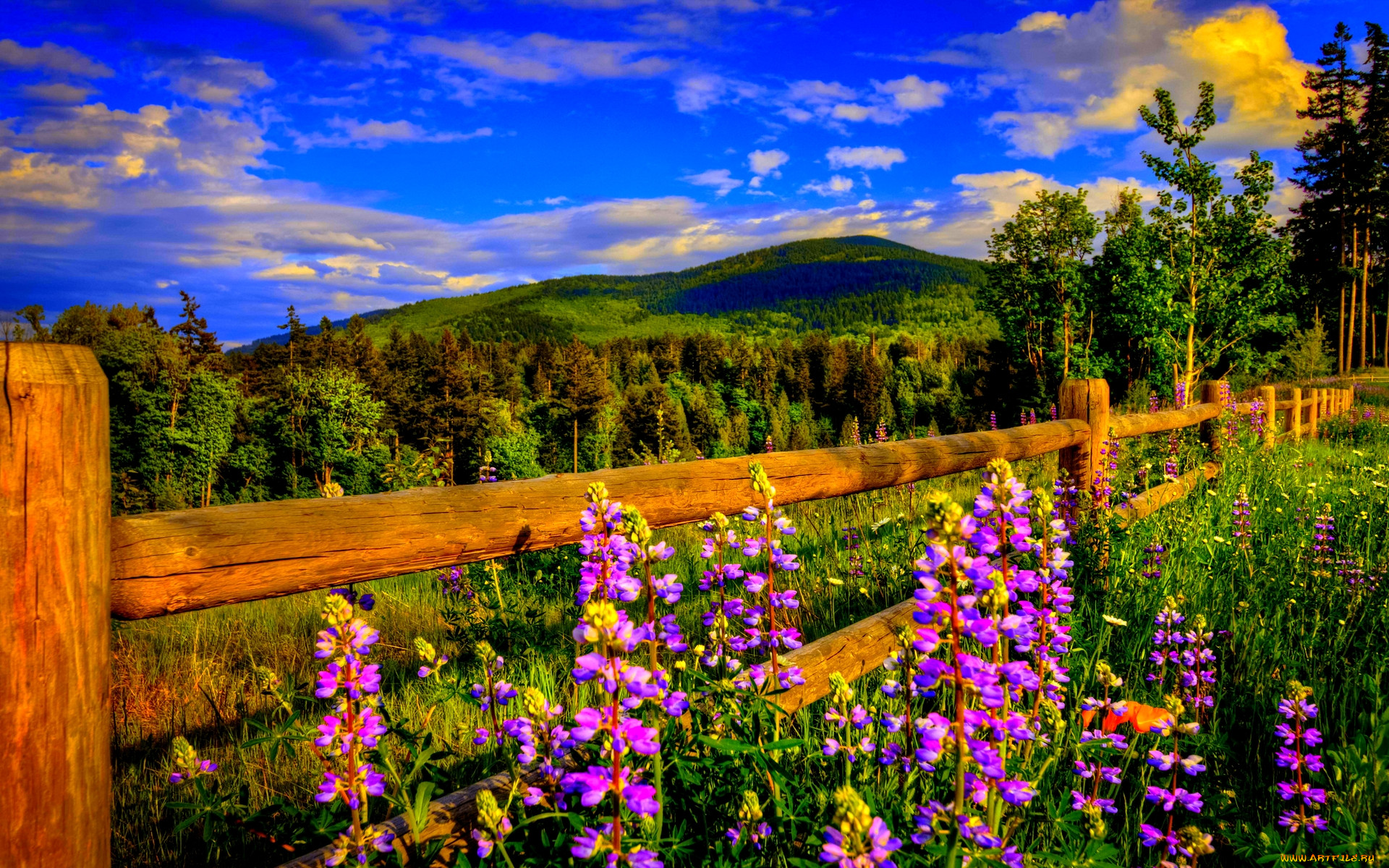 mountain, spring, , , , , , , 